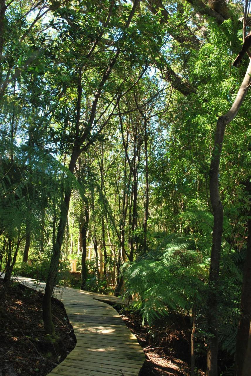 Chucao Bosque Y Cabanas Chaitén Exterior foto