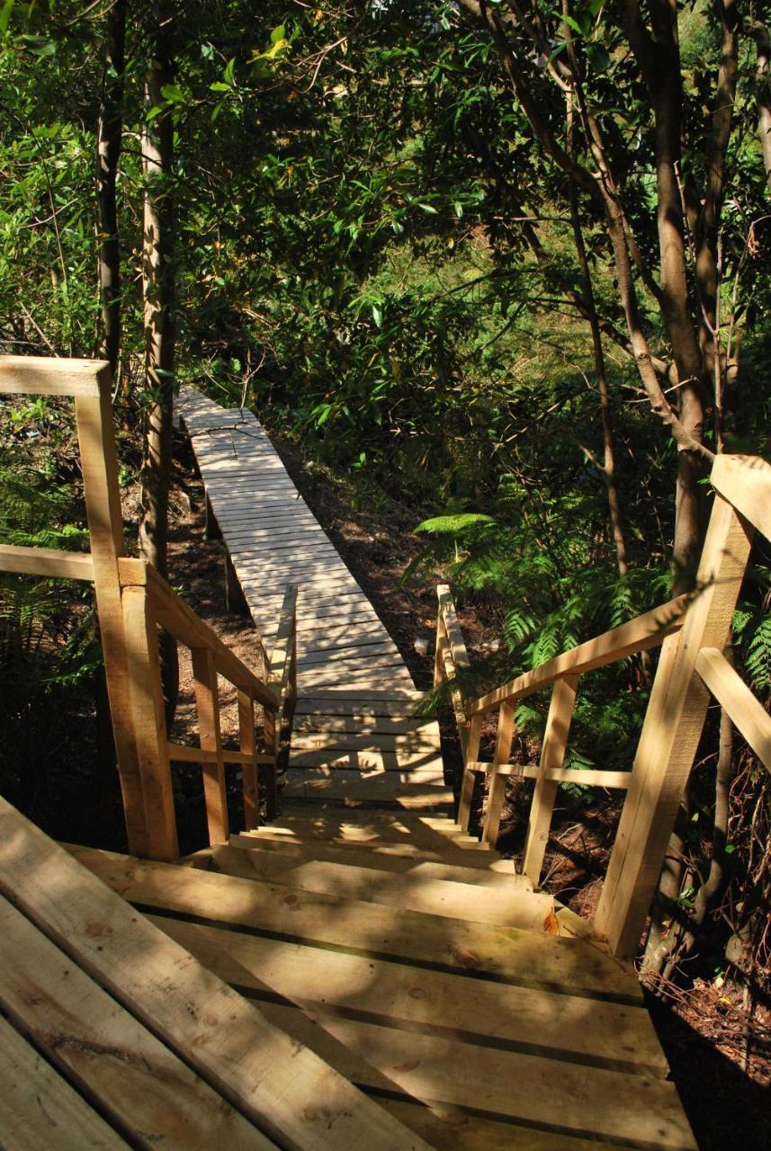 Chucao Bosque Y Cabanas Chaitén Exterior foto