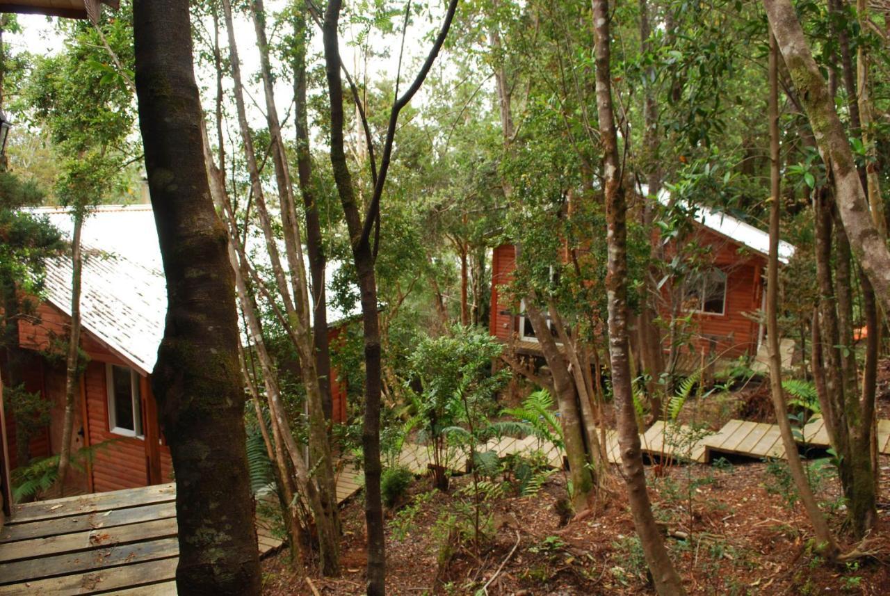 Chucao Bosque Y Cabanas Chaitén Exterior foto